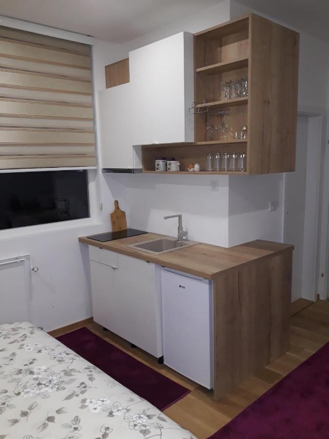 Apartmani Exit パレ エクステリア 写真